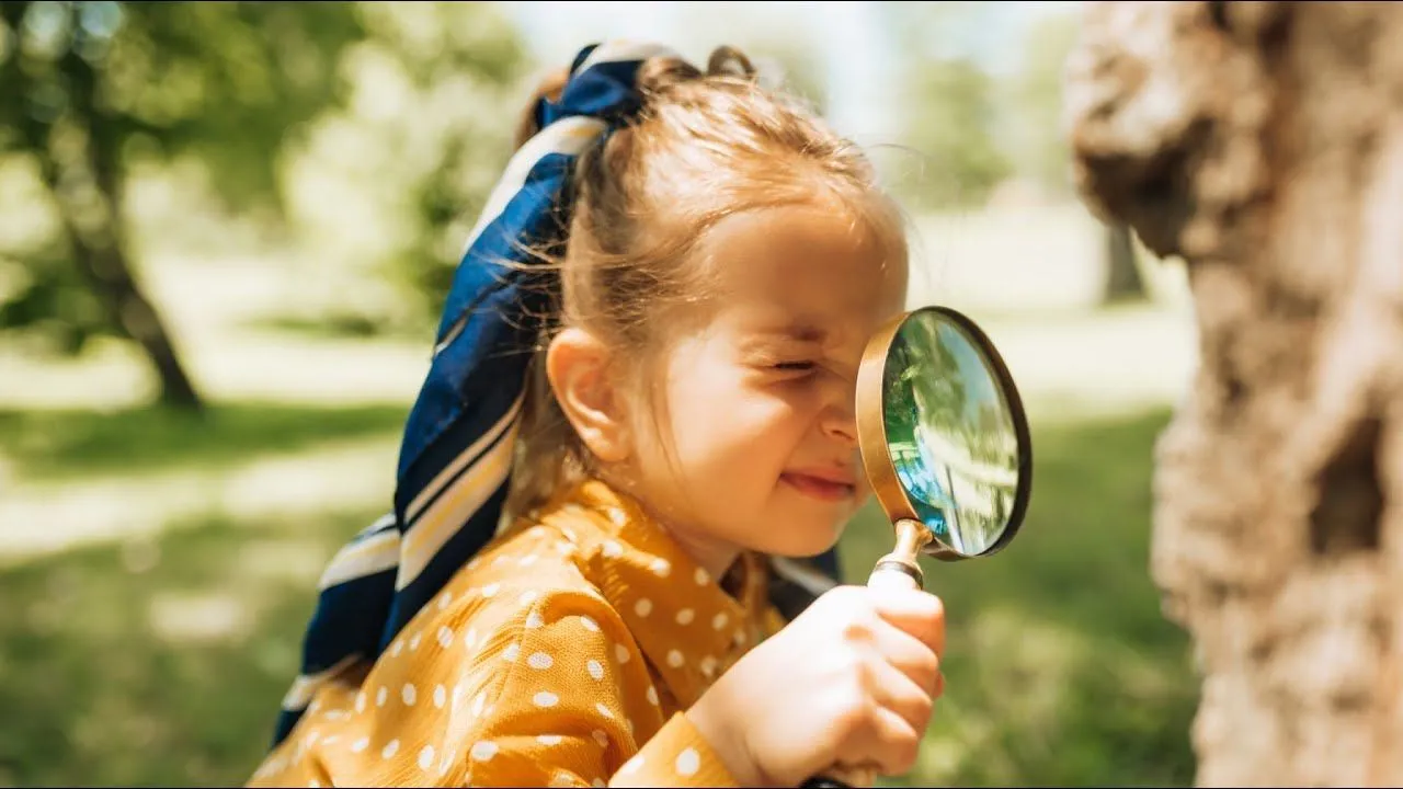 2041d3c6-ce7b-4459-9dac-59796cee8b8c