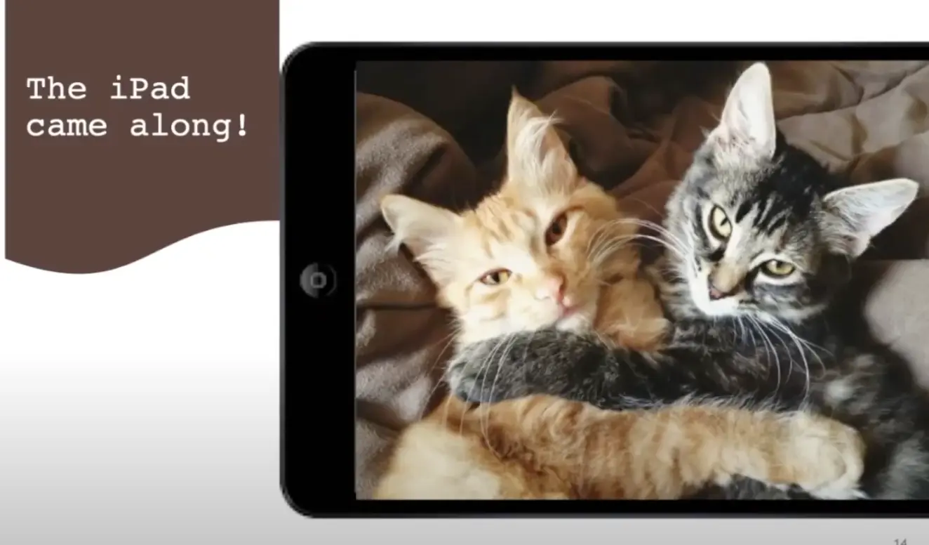 acc33b4b-43de-4ac6-97ab-6451fee8885a