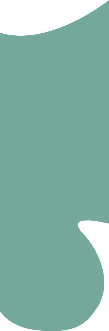 ds-bg